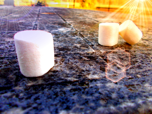 Marshmallow_Experiment_Psychologie