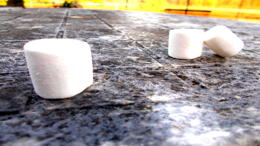Marshmallow_Experiment_Walter Mischel_Delay of Gratification